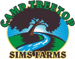 Camp Treetop