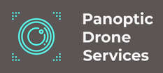 Panoptic Drone Services