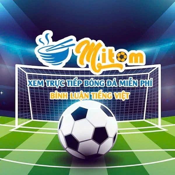 Mitom TV là trang web trực tiếp bóng đá miễn phí hàng đầu hiện nay