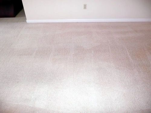carpet cleaning after image
