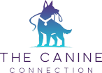The Canine Connection
