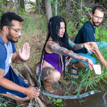 Three people releasing a snake into a natural water body.