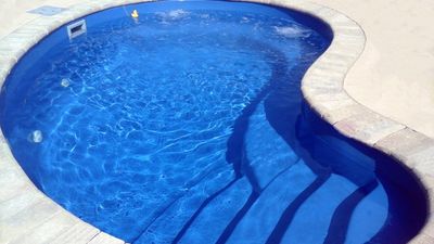 pool installed by armstrong pools & outdoors - pixie