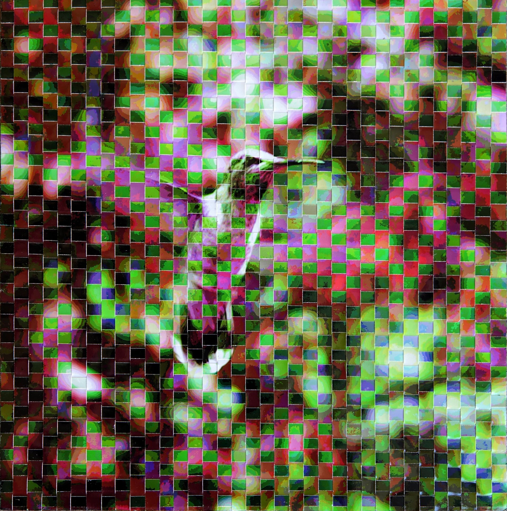 Ji Oh Artist Humming Bird encounter expressed in woven photograph for visual blending