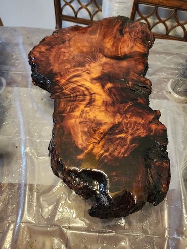 First layer of epoxy going on this stunning redwood burl that looks golden in color after first coat
