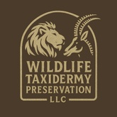 Wildlife Taxidermy Preservation LLC