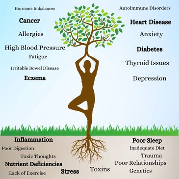 functional medicine, root cause medicine, integrative medicine, preventative medicine