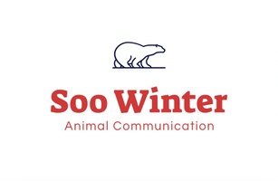 Soo Winter 