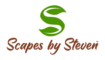 Scapes by Steven