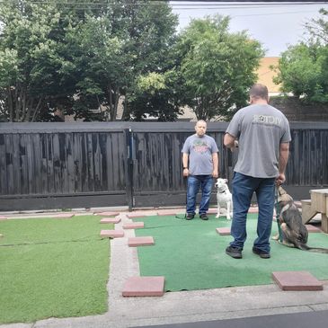 Vitality Health Pets