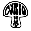 Curio Hut