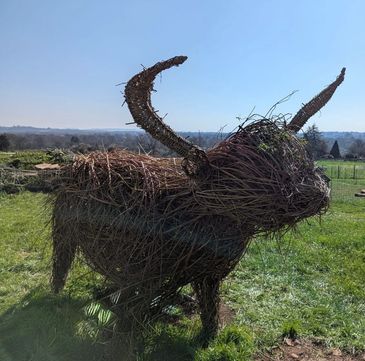 A sculpture of a bull made from intertwined branches in a grassy field.