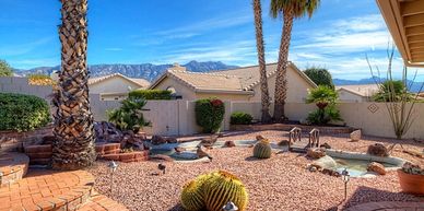 Sunny backyard with palm trees, cacti, and a mountain view.
