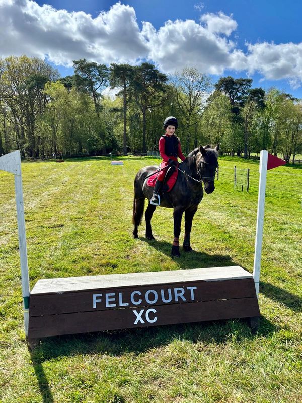 Child in riding gear on a horse at a cross-country equestrian course.