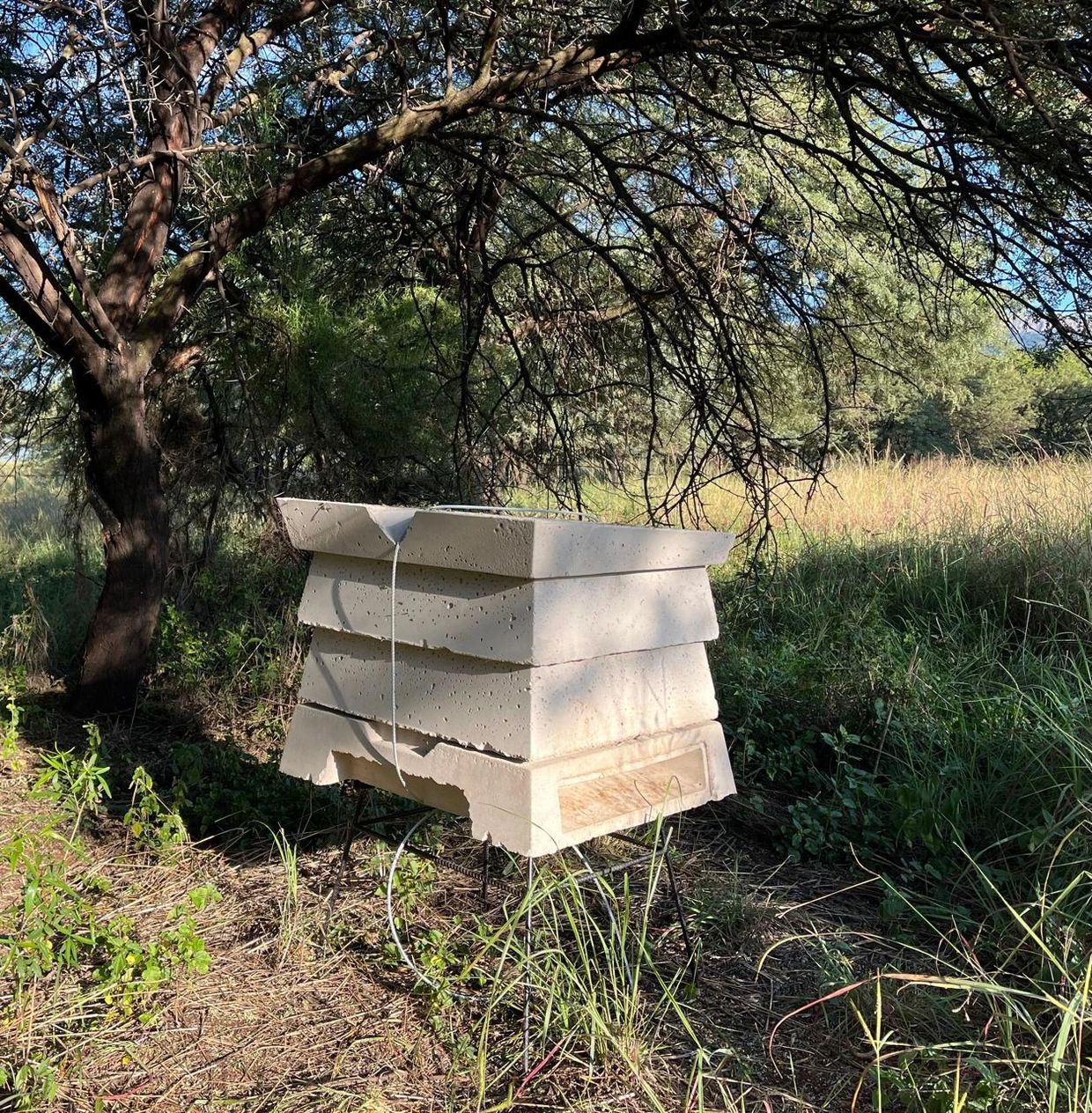 A white beehive stands on a metal stand under a tree in a grassy area.