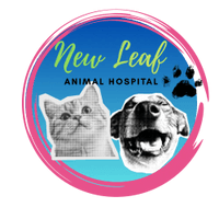  New Leaf Animal Hospital coming soon summer 2025