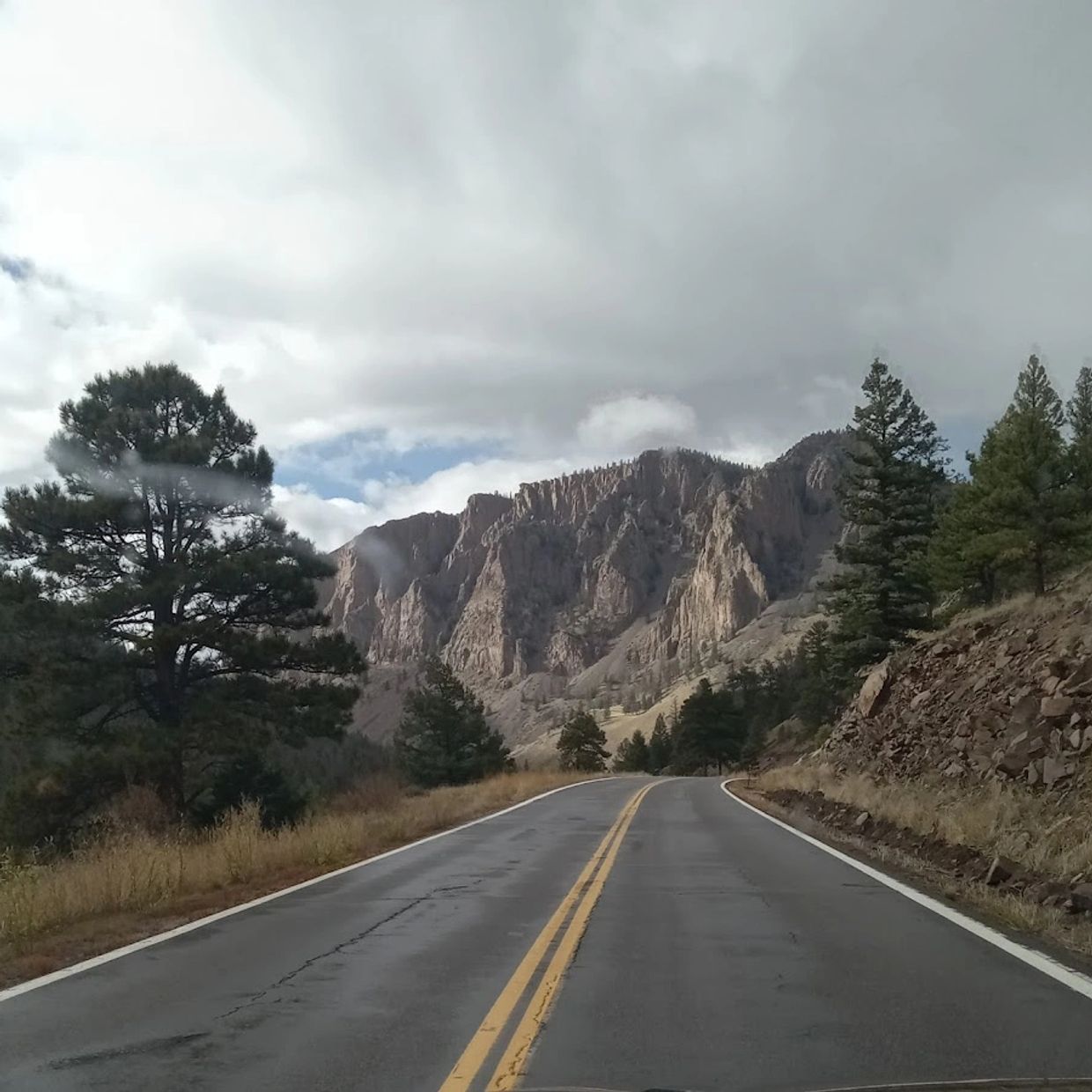 Private dog transport to the Rocky Maintains with Barry's Dogs