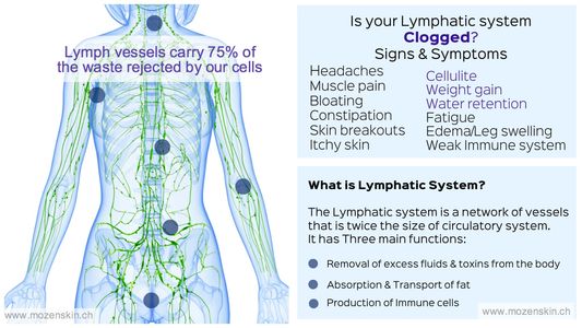 lymph system, lymphatic drain, compression therapy, Cryo Breeze, Ballancer Pro