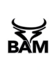 BAM Contracting Ltd.