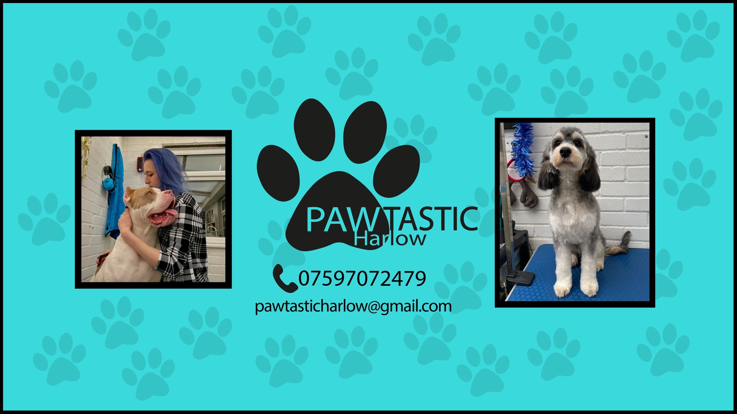 Willow's Pampered Paws