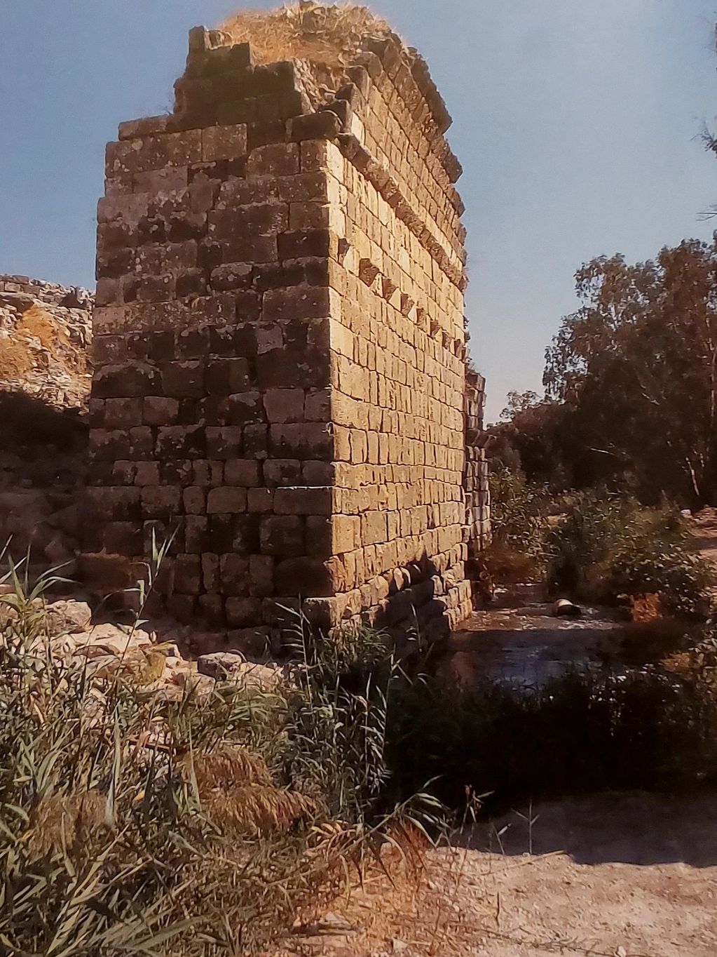 Ancient stone structure bathed in sunlight with surrounding vegetation.