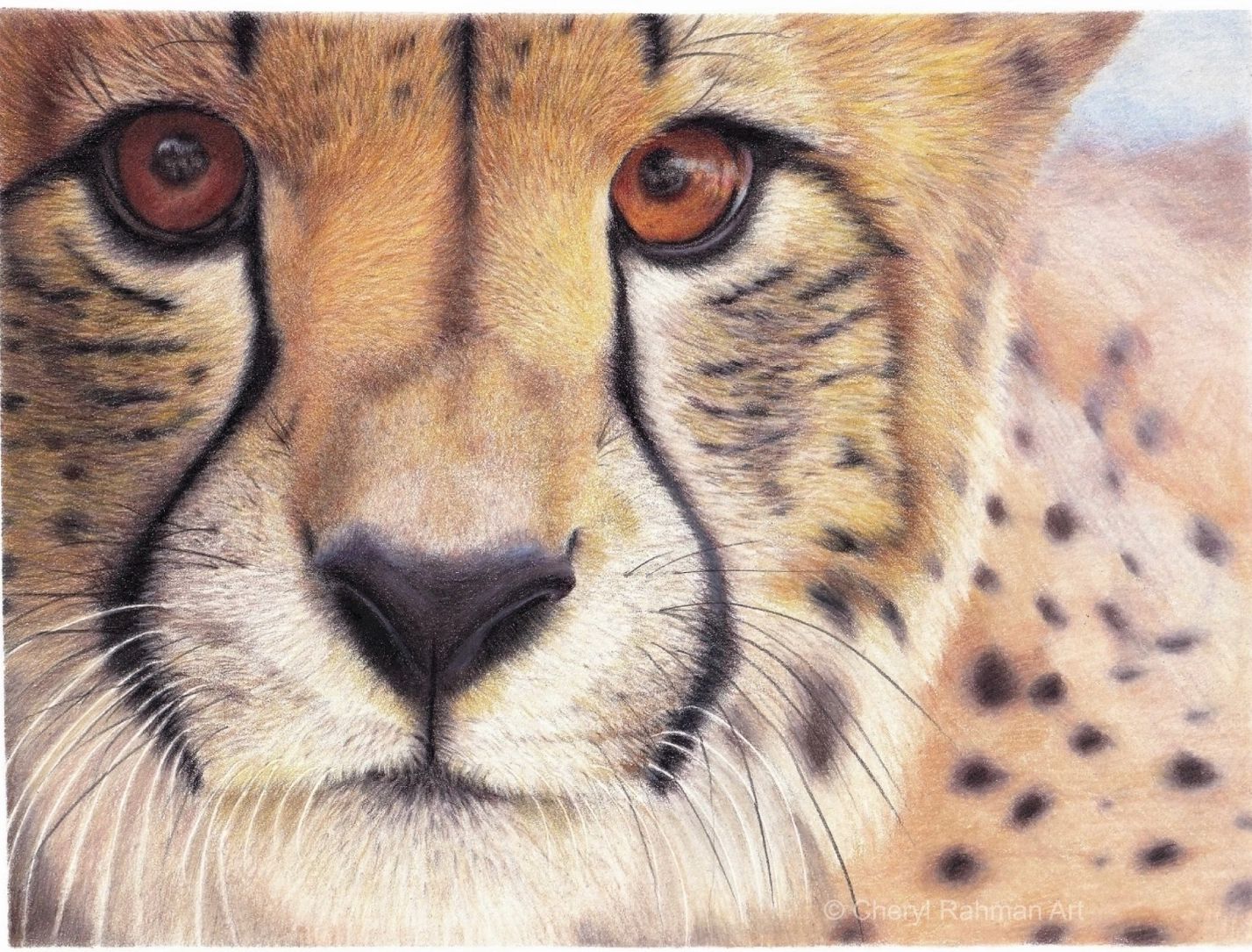 Animal art by Nottingham artist Cheryl Rahman