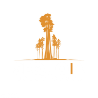 Sequoia Solutions