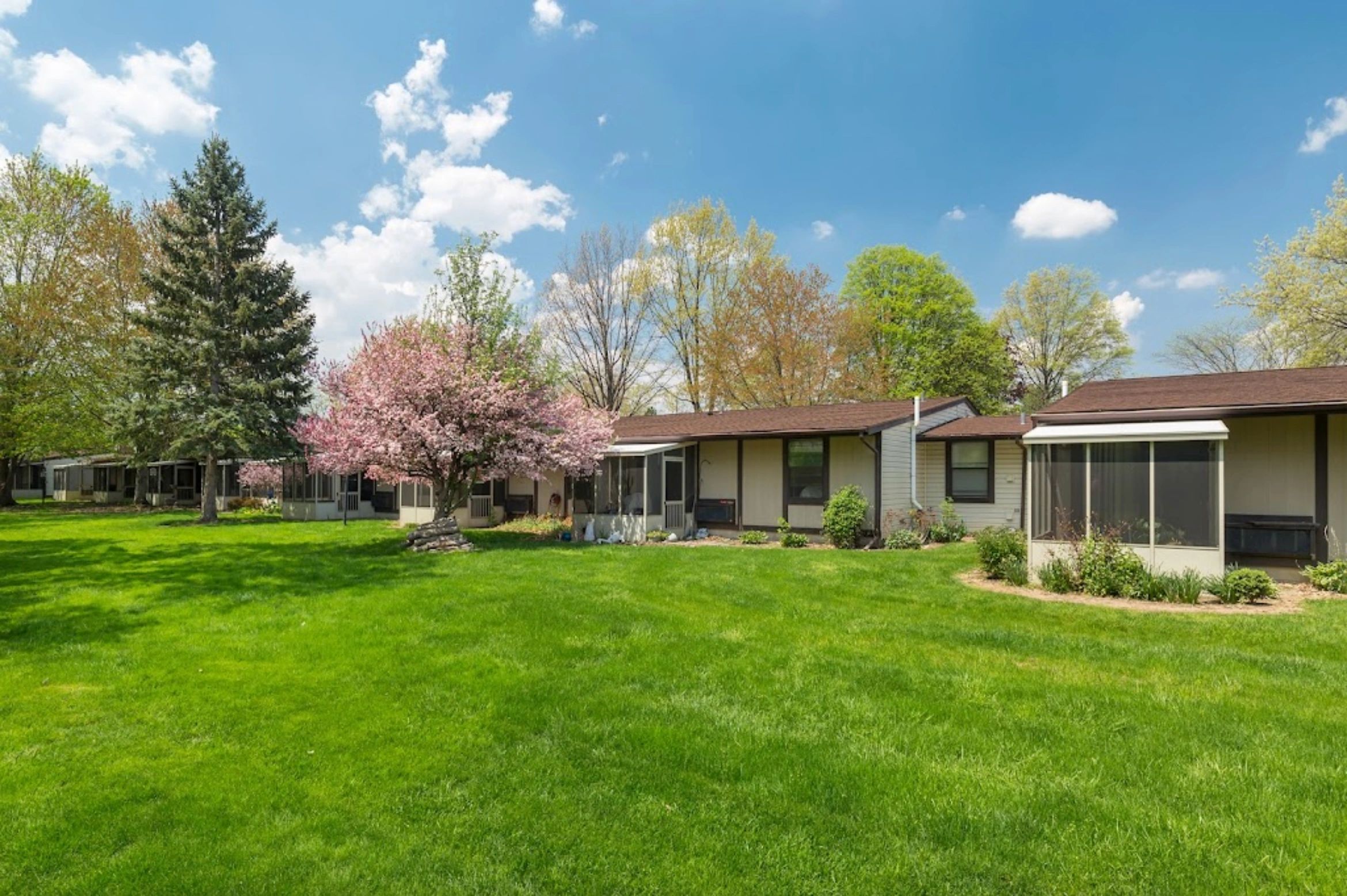 Looking For A Pet In Findlay, Ohio? Start Here! - evgmdjs