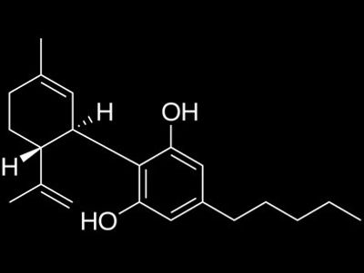 CANNABIDIOL (CBD) - Found in Green Generations CBD for Pets