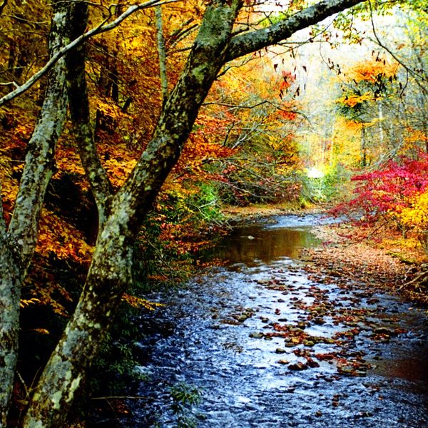 A serene autumn river surrounded by colorful fall foliage.