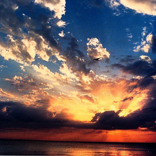 A vibrant sunset over calm waters with a bird flying through colorful clouds.
