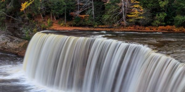 Study Michigan Universities, colleges and High schools.