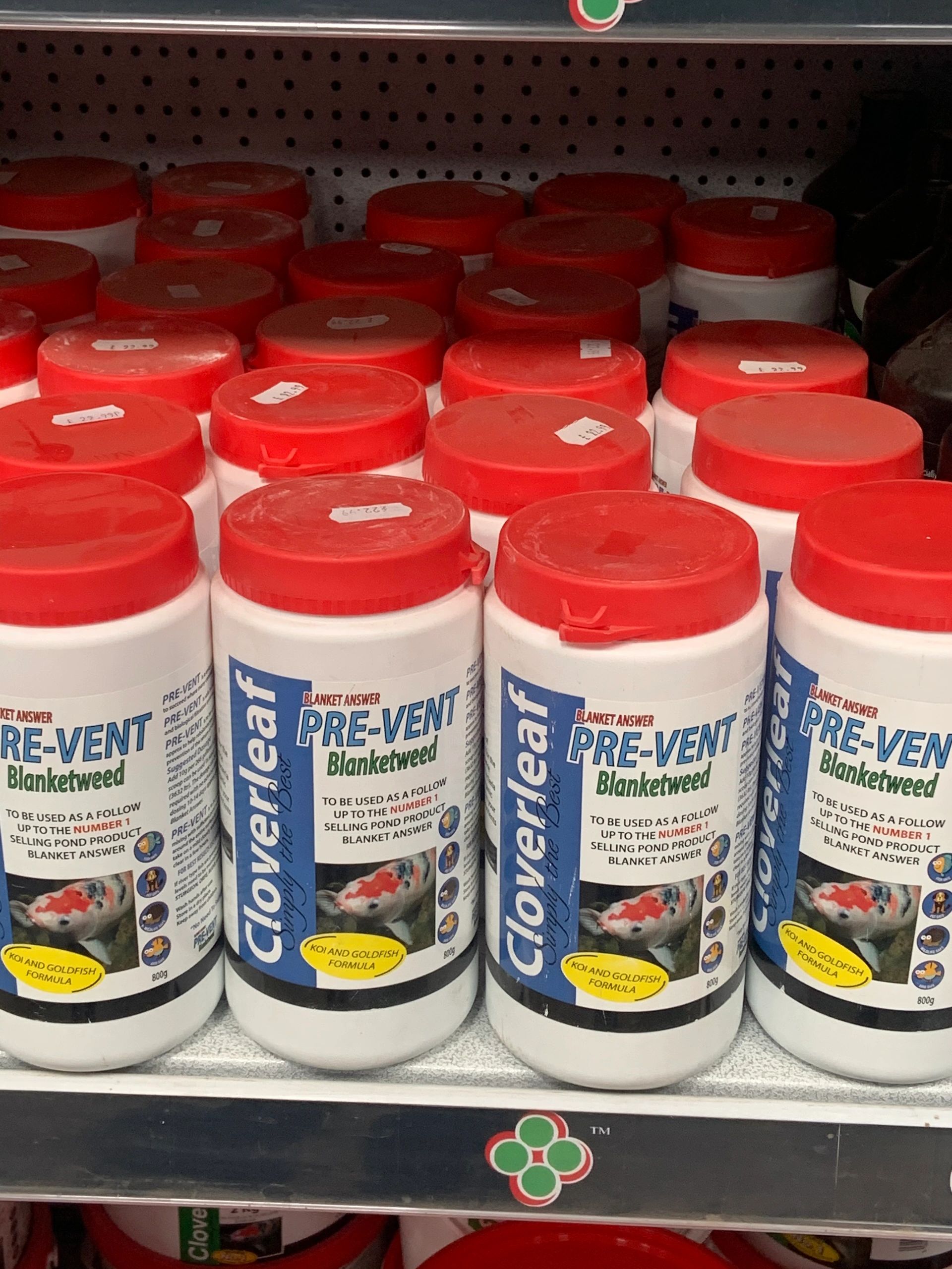 Give your fish the best start for summer ‼️