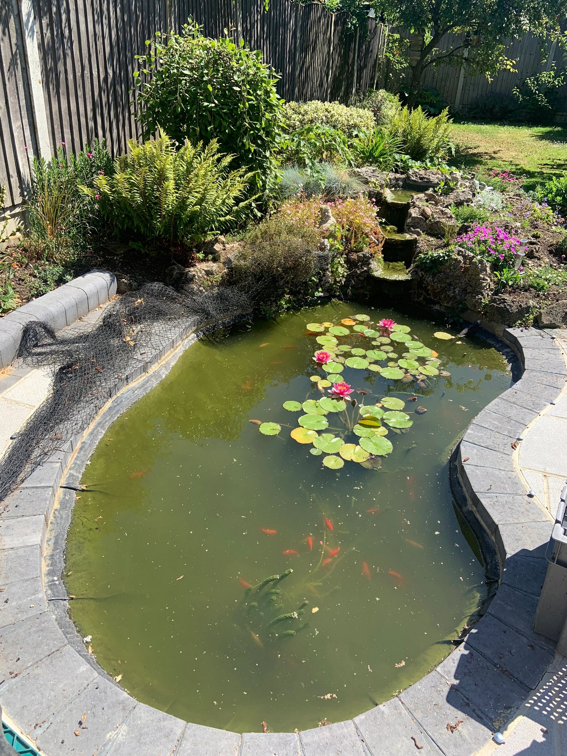 Upgrade your filter system‼️