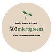503 Microgreens