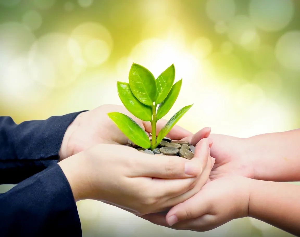 Sowing Roots logo