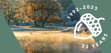 Scenic autumn landscape with a tree and lake, commemorating 33 years.