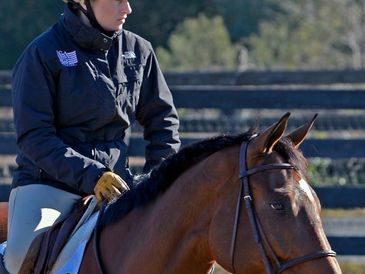 A rider in a helmet and jacket on a brown horse outdoors.