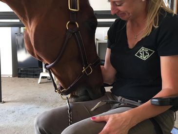 A woman lovingly interacts with a horse indoors, sharing a gentle moment.