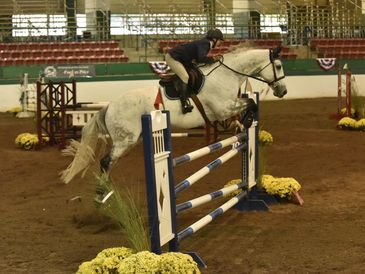 A horse and rider jump over an obstacle in an indoor equestrian arena.