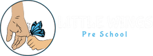 Little Wings Preschool