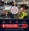 Valentine TS: company-training Division 