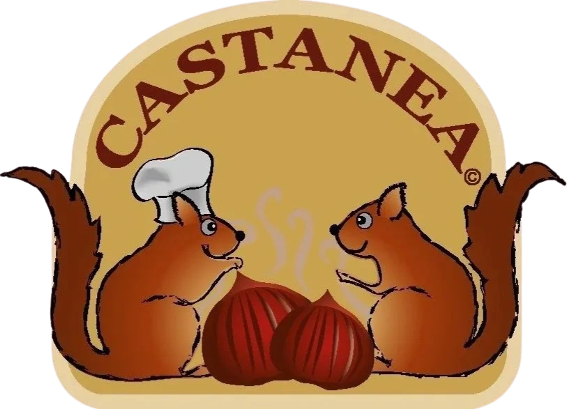 CASTANEA Peeled Roasted Chestnuts, Chestnuts Dubai