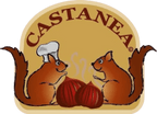 CASTANEA