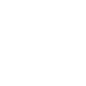 NexGen X