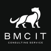 BMC IT Consulting Service