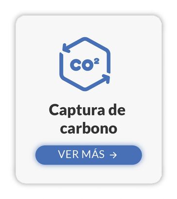 Captura de carbono