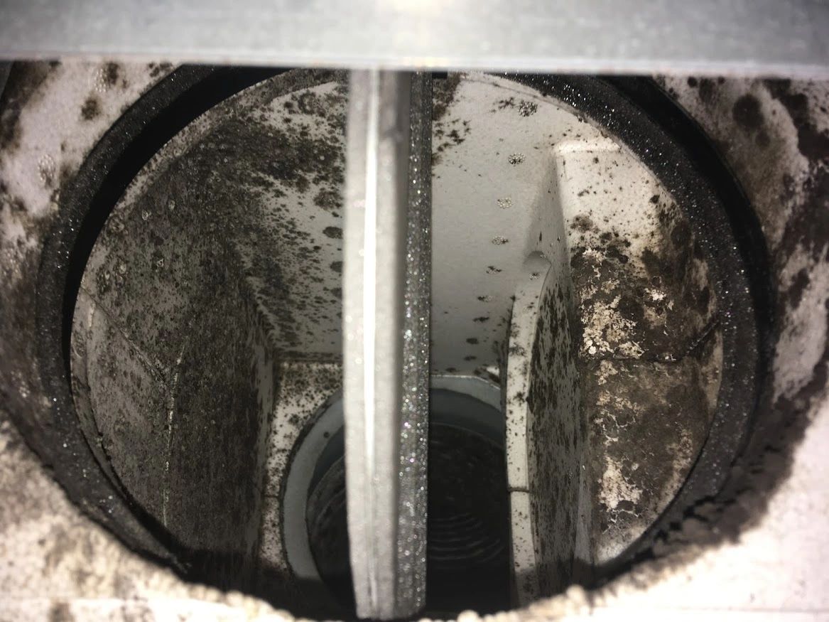 Q 全館空調のダクトのカビは取れるの