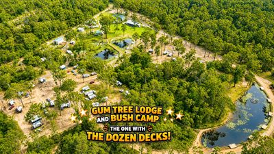 Aerial view of Gum Tree Lodge and Bush Camp surrounded by dense forest and water bodies.