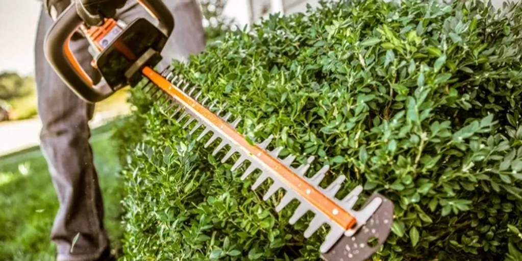 Hegde trimming shrubs trees and bushes in Richmon Hill, GA. 